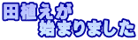 田植えが 　　始まりました